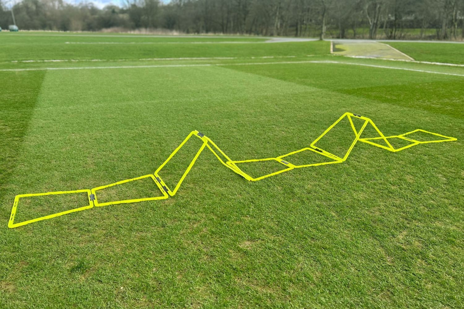 Pro Agility Trapeze - NEW
