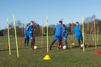 Boundary Poles - 1.7m with bag